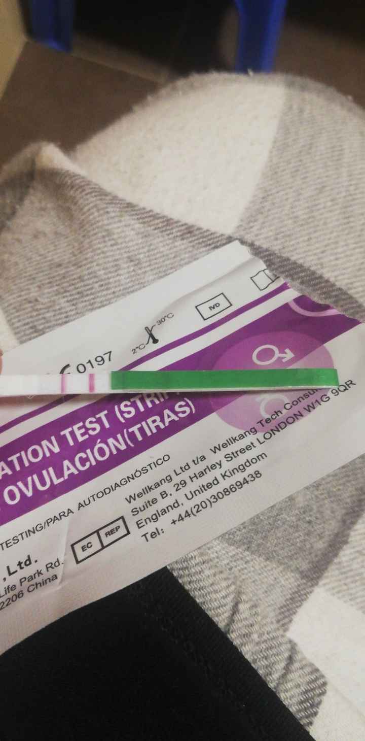 Ayuda con los test de ovulacion!!! 2
