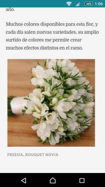 Ramo de flores - 2