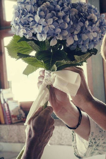 Ramos de hortensias....con cual te quedas? - 3