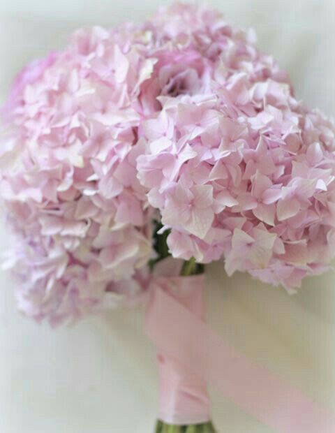 Ramos de hortensias....con cual te quedas? - 4