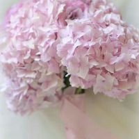 Ramos de hortensias....con cual te quedas? - 4