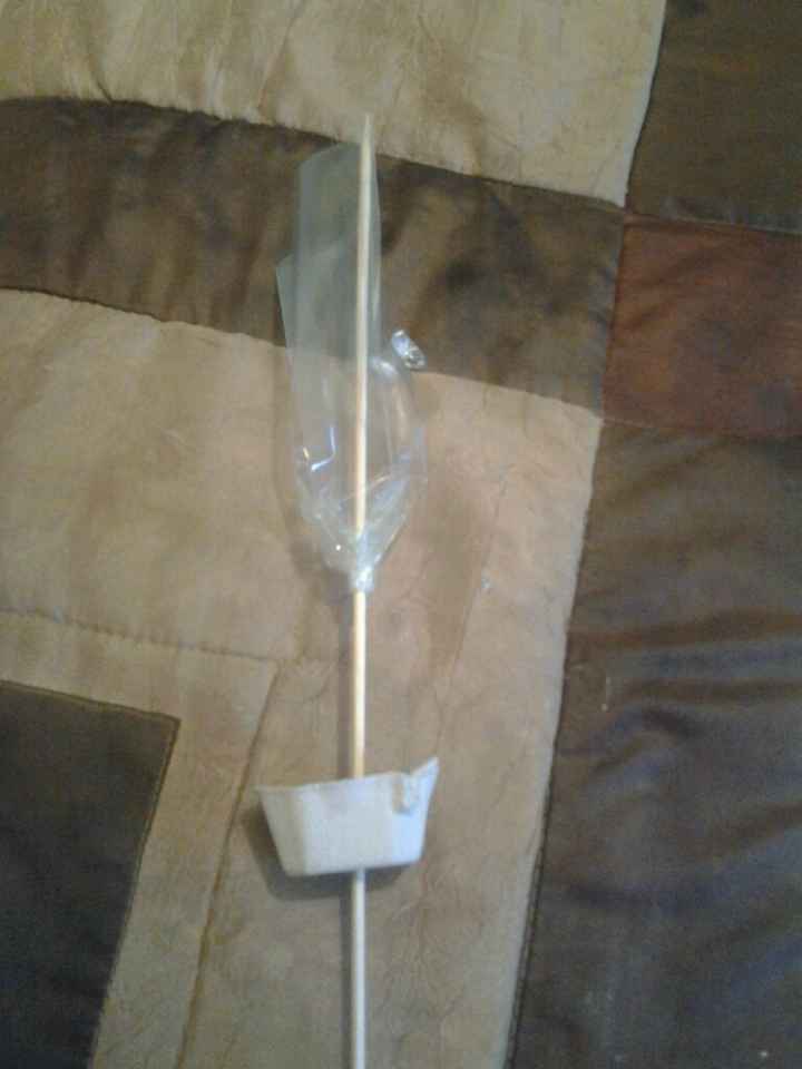Rosas para el arroz - 3