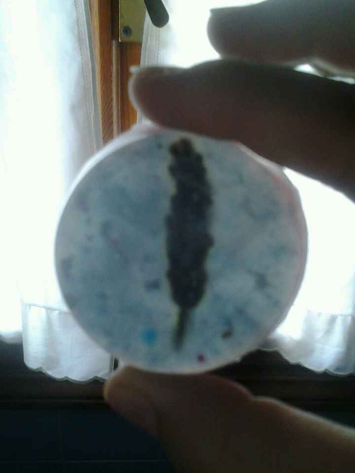 La prueba de mis cositas jeje - 1