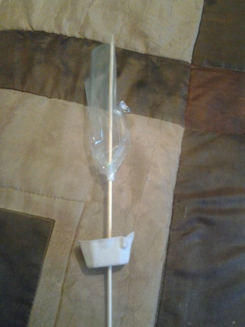 Rosas para el arroz - 3