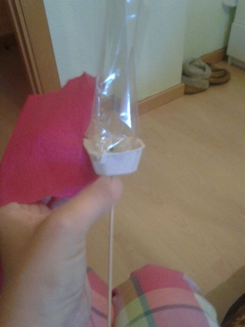 Rosas para el arroz - 10
