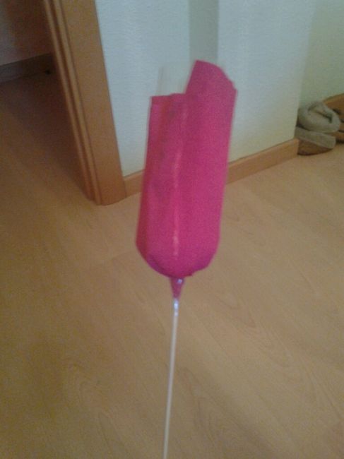 Rosas para el arroz - 18