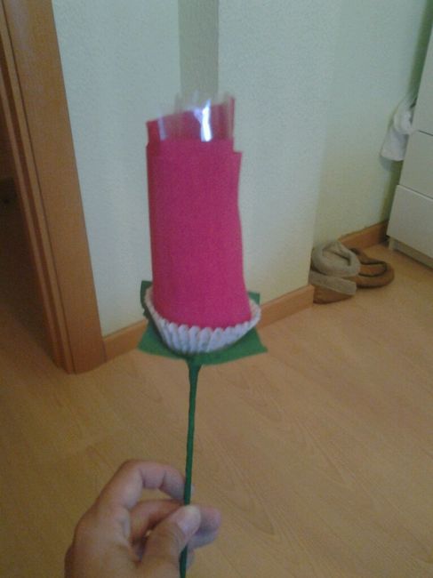 Rosas para el arroz - 27
