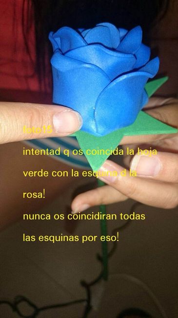 foto17