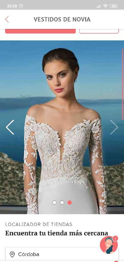 Lencería para este vestido - 1