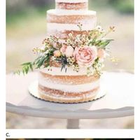  ¿que tarta te gusta más?? - 6