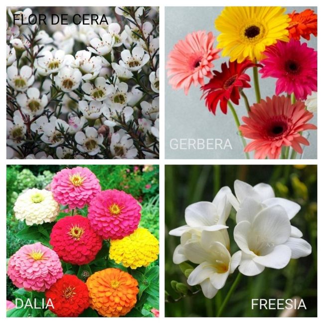 Flores para el ramo de novia - 4