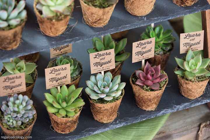 Regalos para invitados, ¿cuál crees que triunfará? - 1