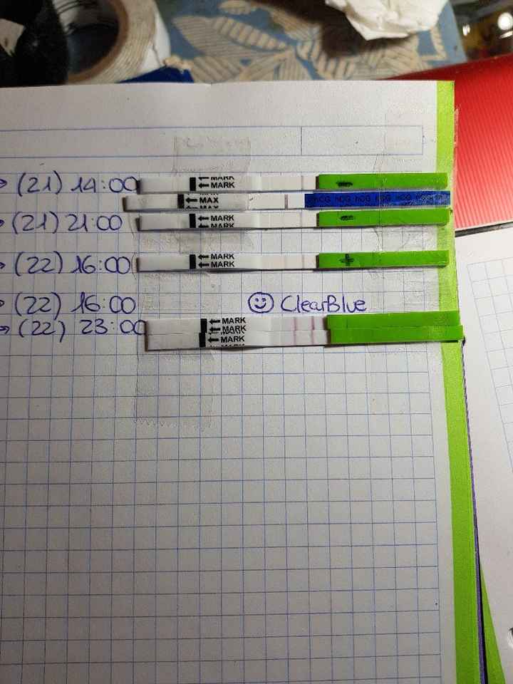 Echa un lio! to y embarazo.¿me ayudáis por favor? - 2
