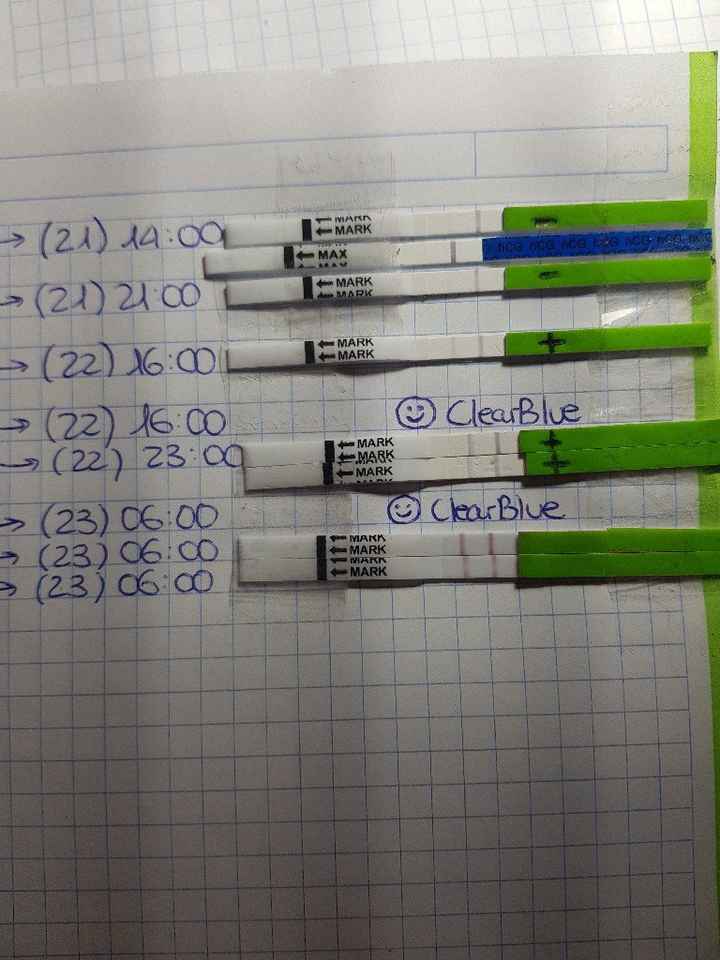 Echa un lio! to y embarazo.¿me ayudáis por favor? - 1