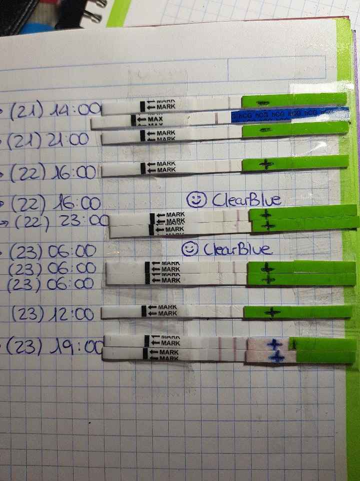 Echa un lio! to y embarazo.¿me ayudáis por favor? - 3