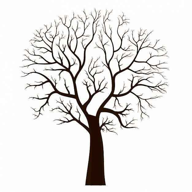 arbol firmas o genealogico