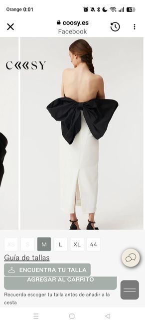 Vestido de novia ( - 1