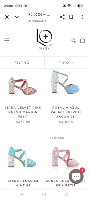 Zapatos 1