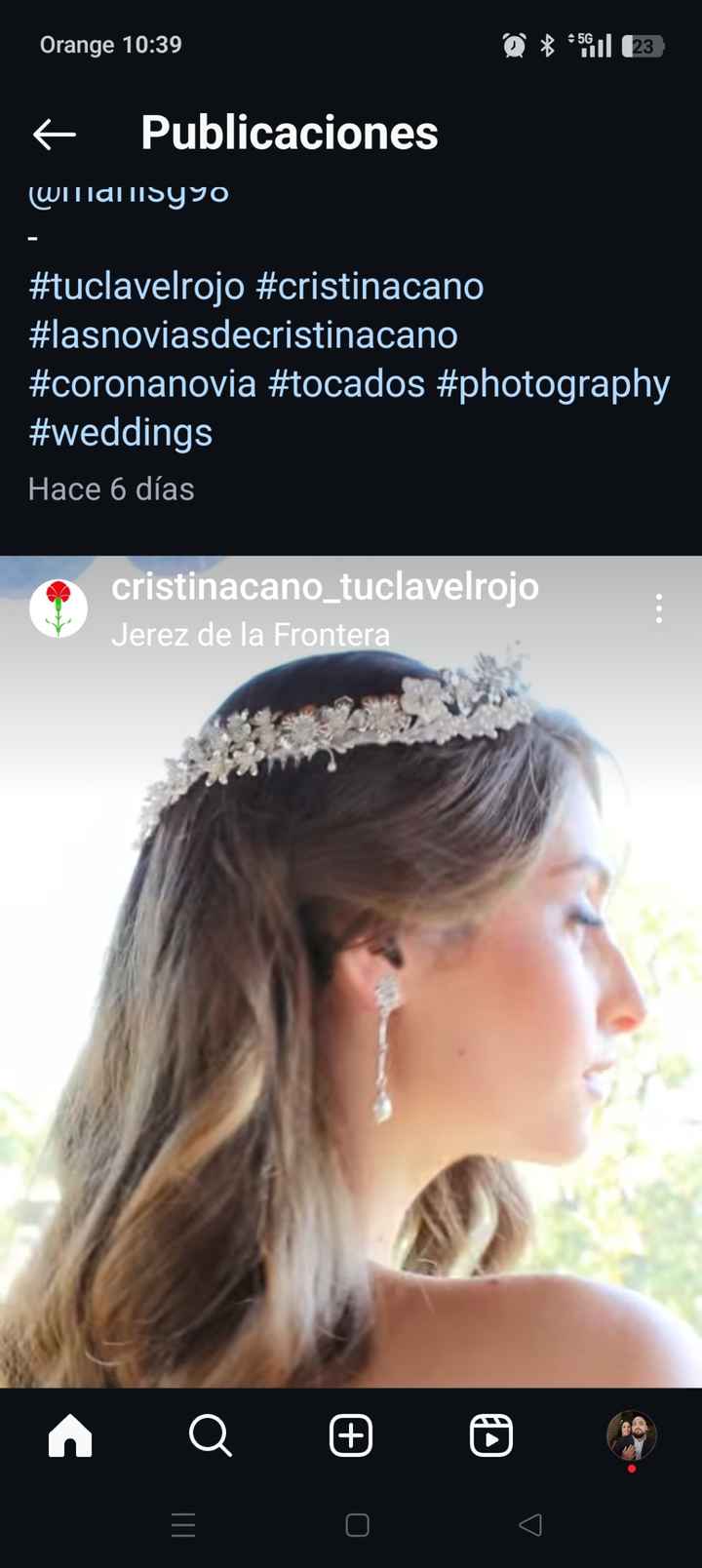 Horquillas para peinado - 1