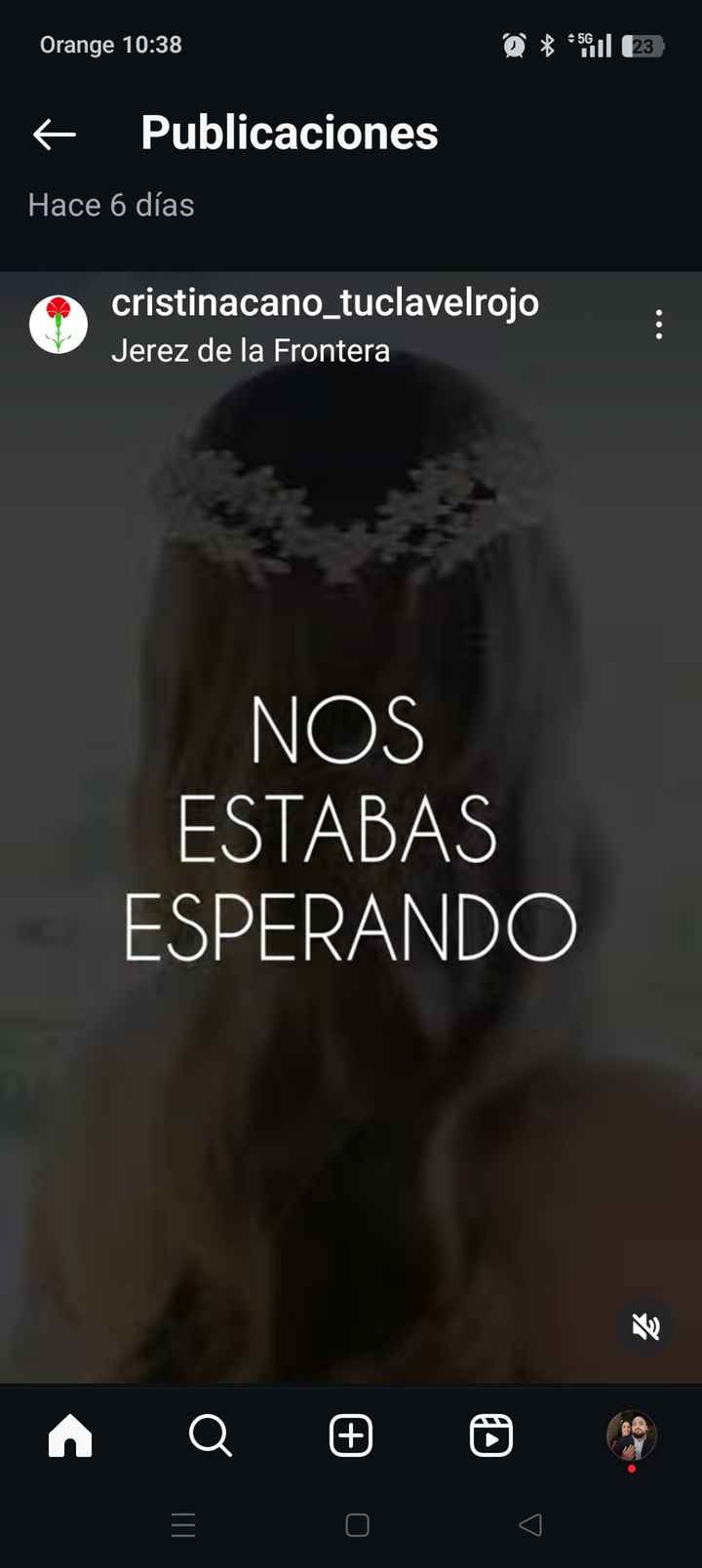 Horquillas para peinado - 2