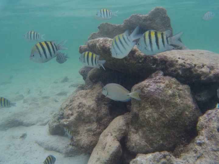 Viaje de novios a cancún 2016 - 9