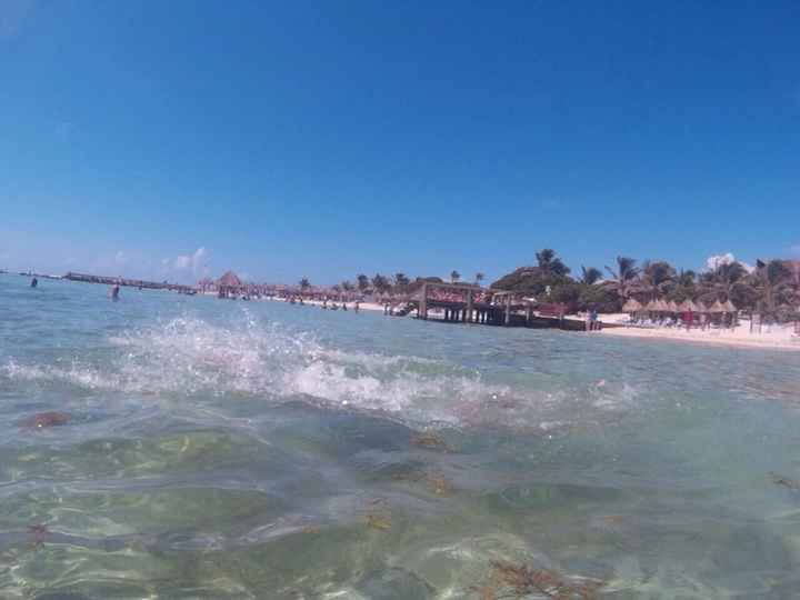 Riviera maya agosto 2016 - 7