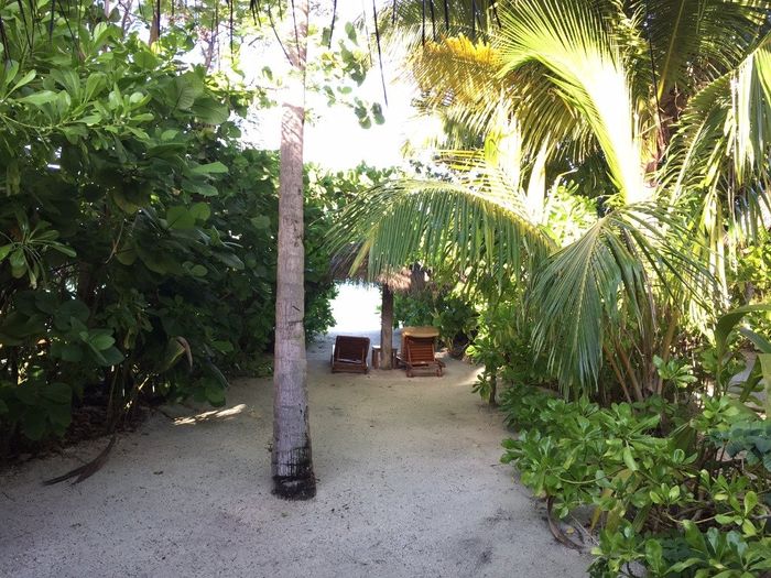 Tumbonas Deluxe Villa