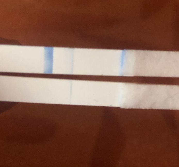 Otra vez test de embarazo clear blue positivo. Puede ser otro bioquímico ayuda urgente 1