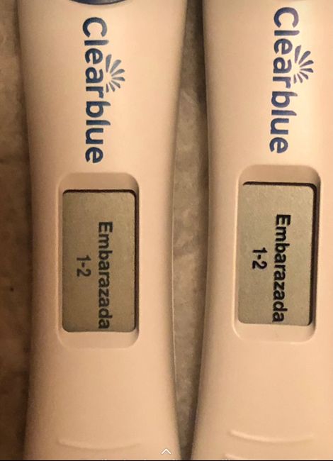 Otra vez test de embarazo clear blue positivo. Puede ser otro bioquímico ayuda urgente 4
