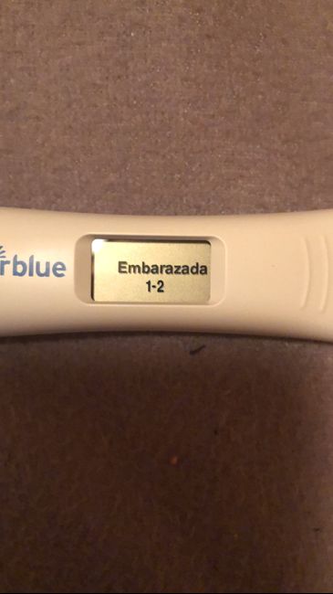 Otra vez test de embarazo clear blue positivo. Puede ser otro bioquímico ayuda urgente 6