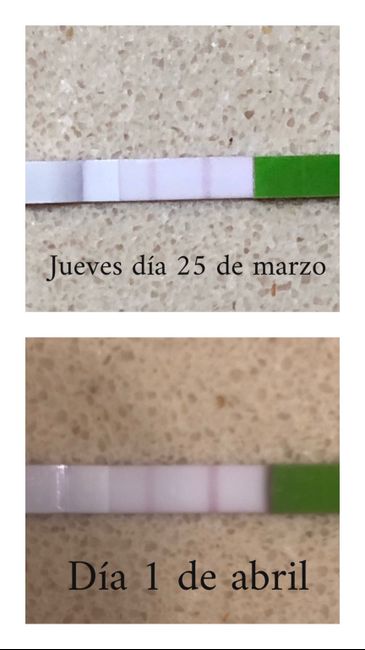 a pasado ya mi ovulación? Ayuda - 1