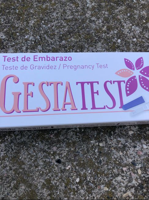 nuevo buscadoras Mayo 2019 - 2