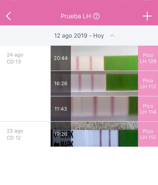 Buscadoras Agosto 2019 6