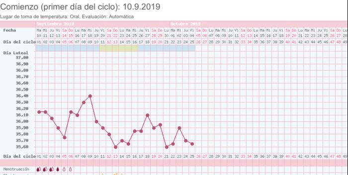 Buscadoras octubre 2019 3