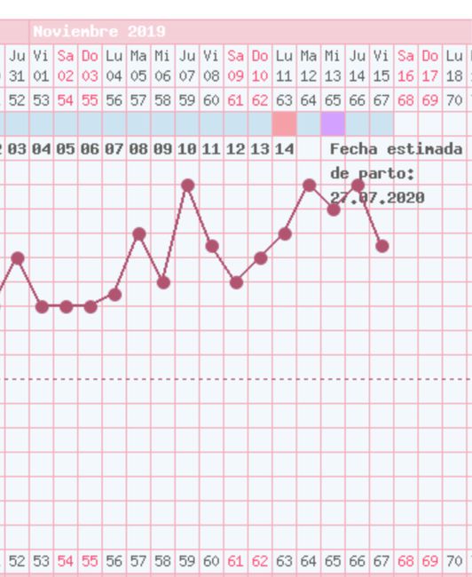 Buscadoras Noviembre 2019 5