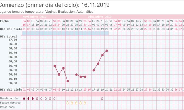 Buscadoras Diciembre 2019 3