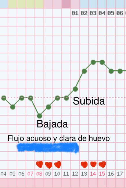 buscadoras febrero 2020 6