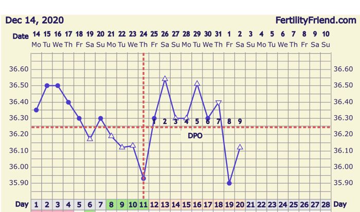 Buscadoras Enero 2021 🌼💞🤰🏼 1