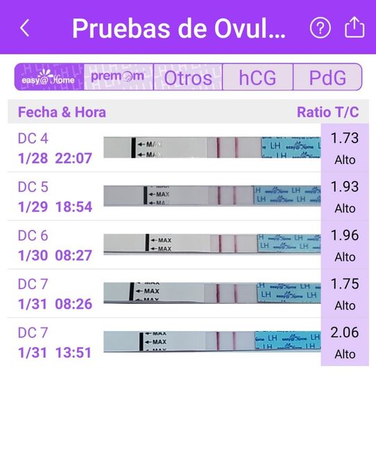 Buscadoras Febrero 2023 🤞🏻✨ 2