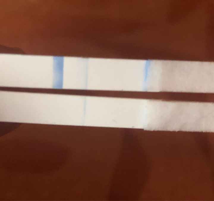 Otra vez test de embarazo clear blue positivo. Puede ser otro bioquímico ayuda urgente - 1