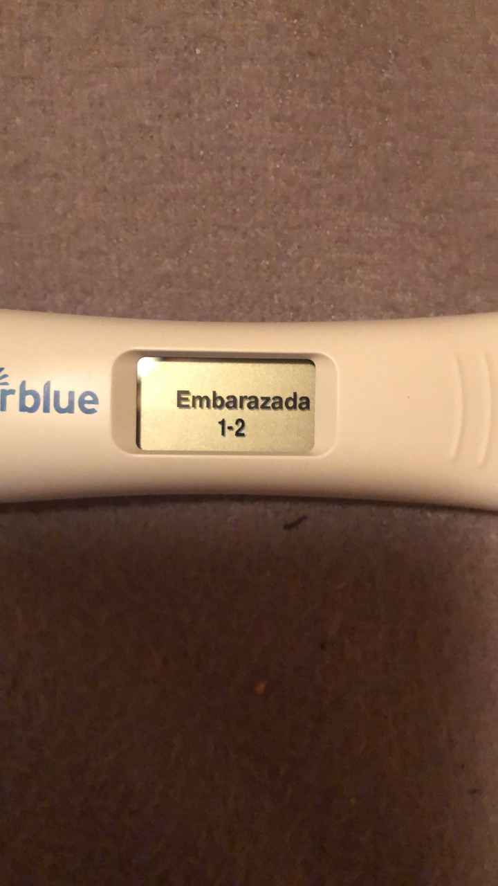 Otra vez test de embarazo clear blue positivo. Puede ser otro bioquímico ayuda urgente - 3