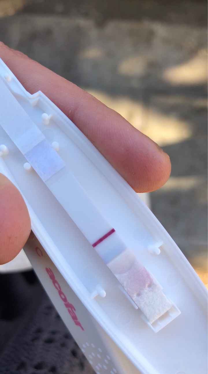Otra vez test de embarazo clear blue positivo. Puede ser otro bioquímico ayuda urgente - 1