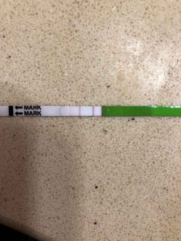 Ayuda me hice test clear blue el día 5 de mayo - 1