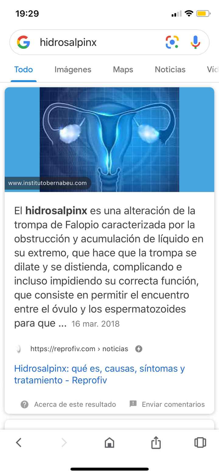 Buscadoras de Septiembre 2019 - 1