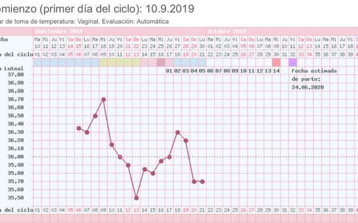 Buscadoras de Septiembre 2019 - 2