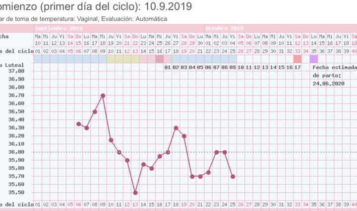 Buscadoras octubre 2019 - 1