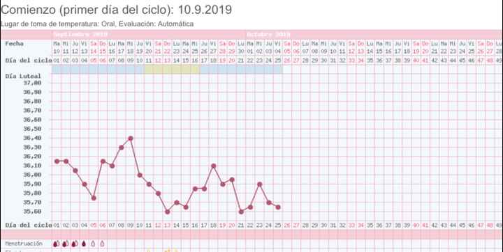 Buscadoras octubre 2019 - 2