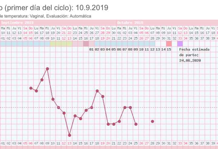 Buscadoras octubre 2019 - 1