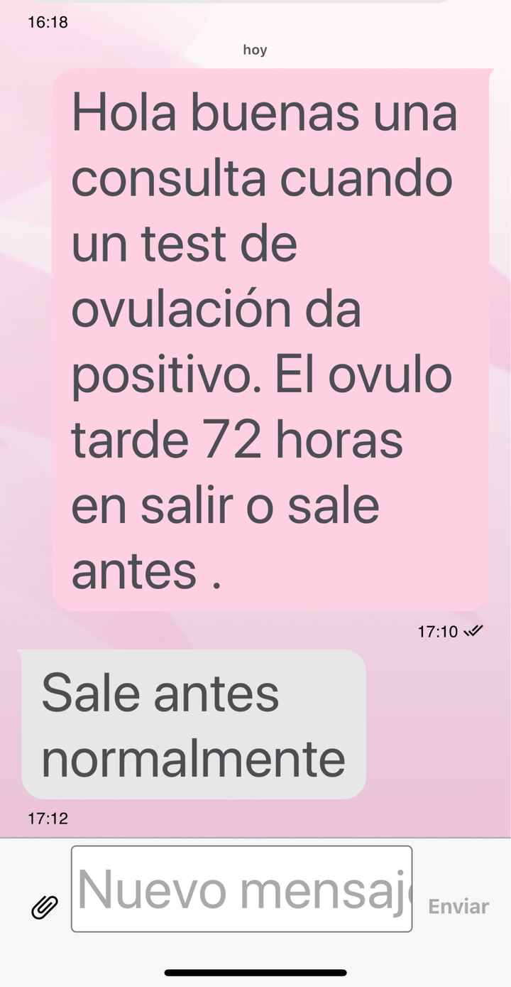 Buscadoras octubre 2019 - 1
