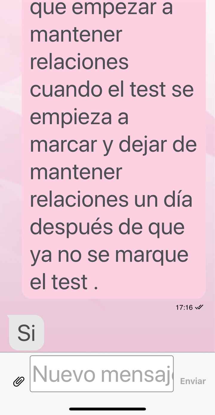 Buscadoras octubre 2019 - 3